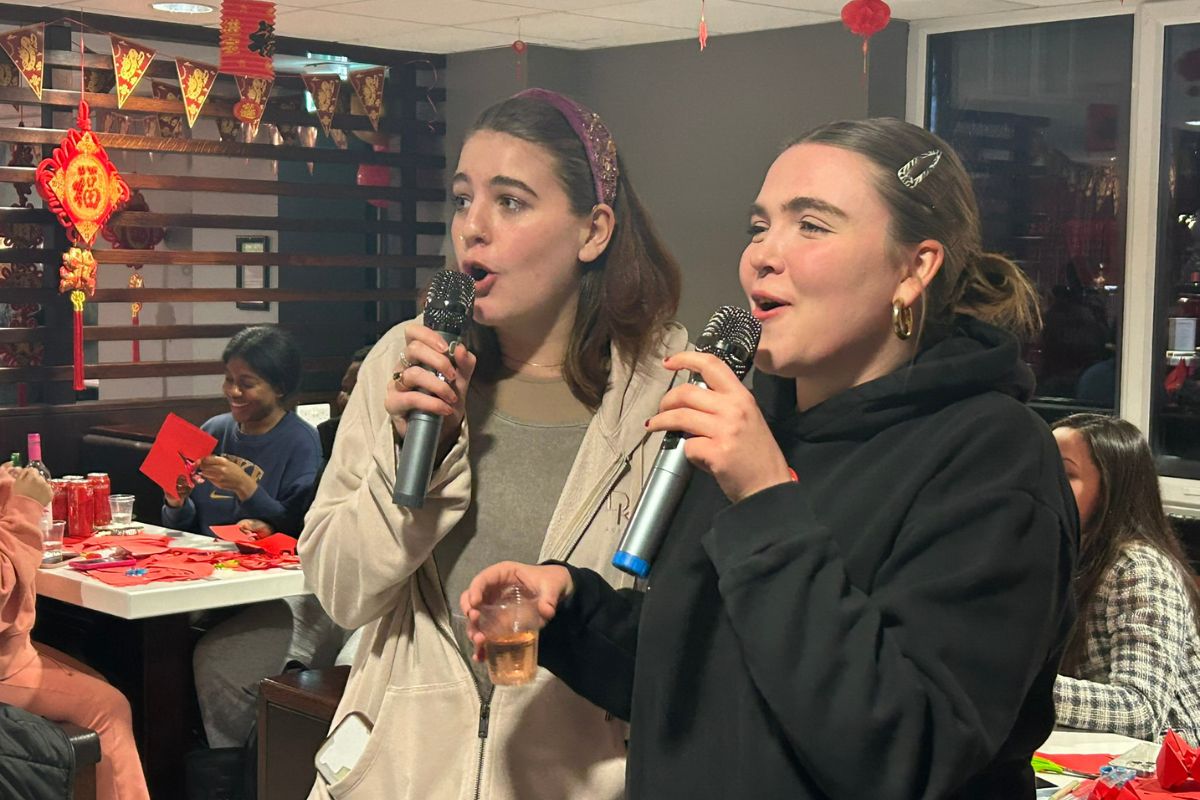 Two girls singing karaoke