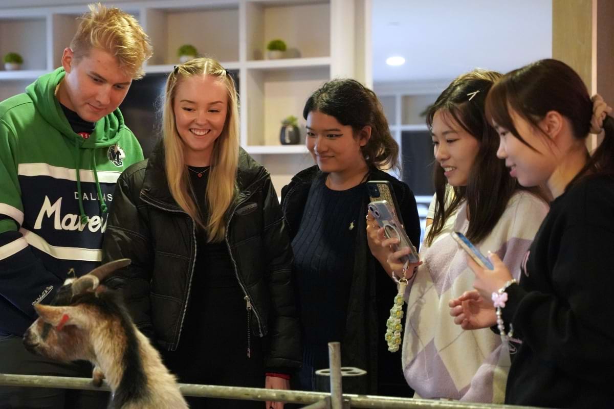 Friends gather around a little goat to say hi