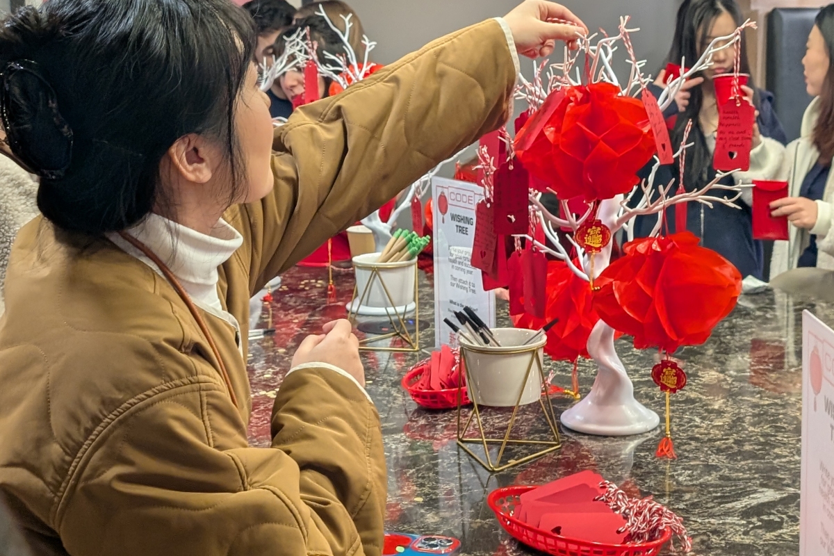 Student hangs a wish onto the Lunar New Year tree