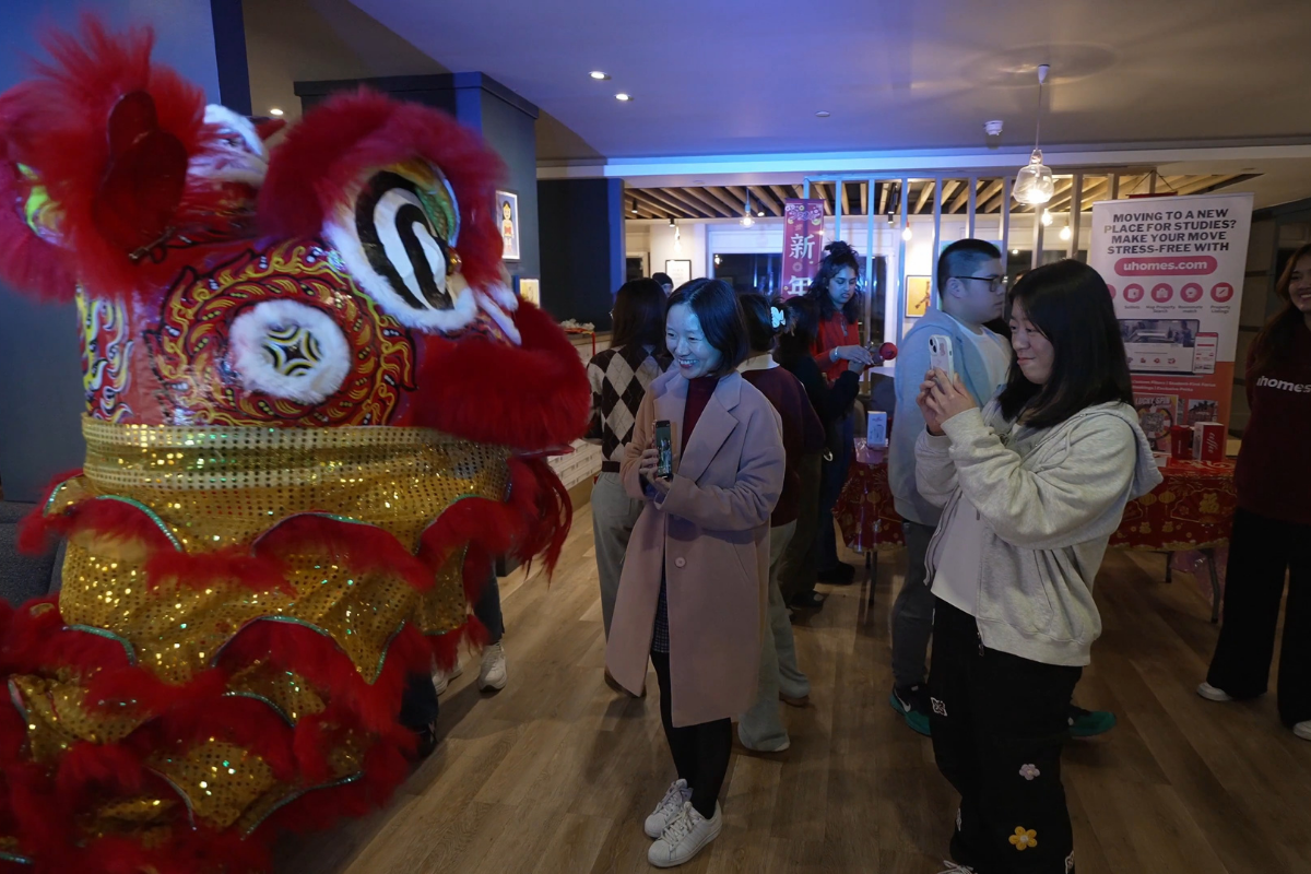 可爱的舞狮蹦跳着来啦