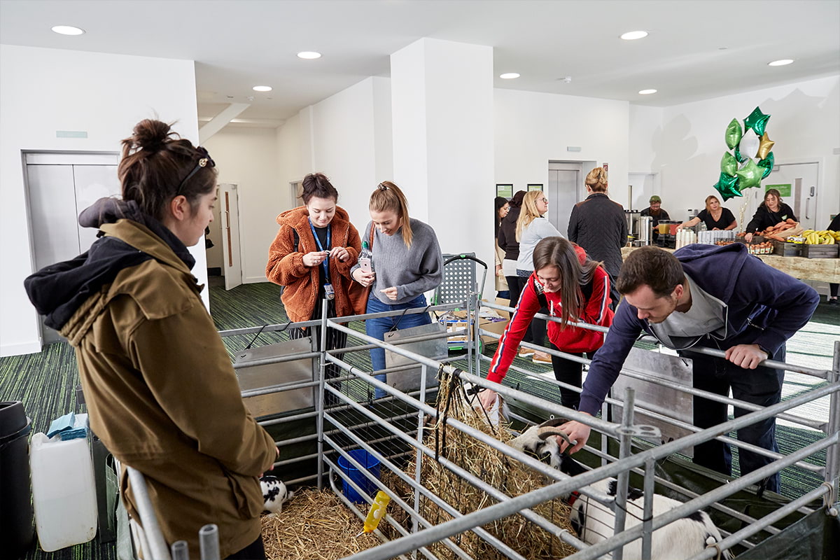 CODE Student Accommodation Coventry Petting Zoo